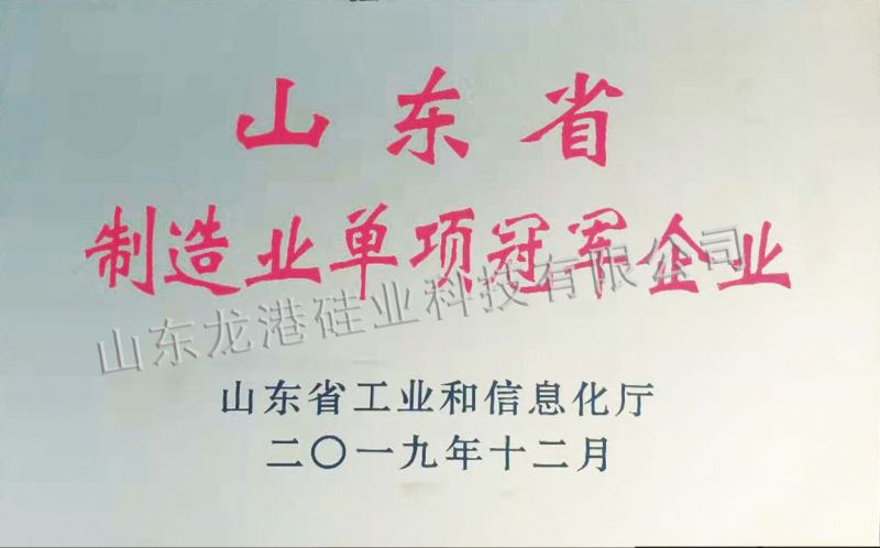 山東省制造業(yè)單項(xiàng)冠軍企業(yè)