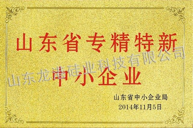 山東省專精特新中小企業(yè)